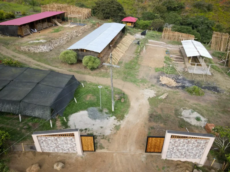 Portón de entrada de lujo en bambú guadua y acero en Colombia