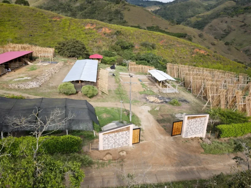 Portón de entrada de lujo en bambú guadua y acero en Colombia