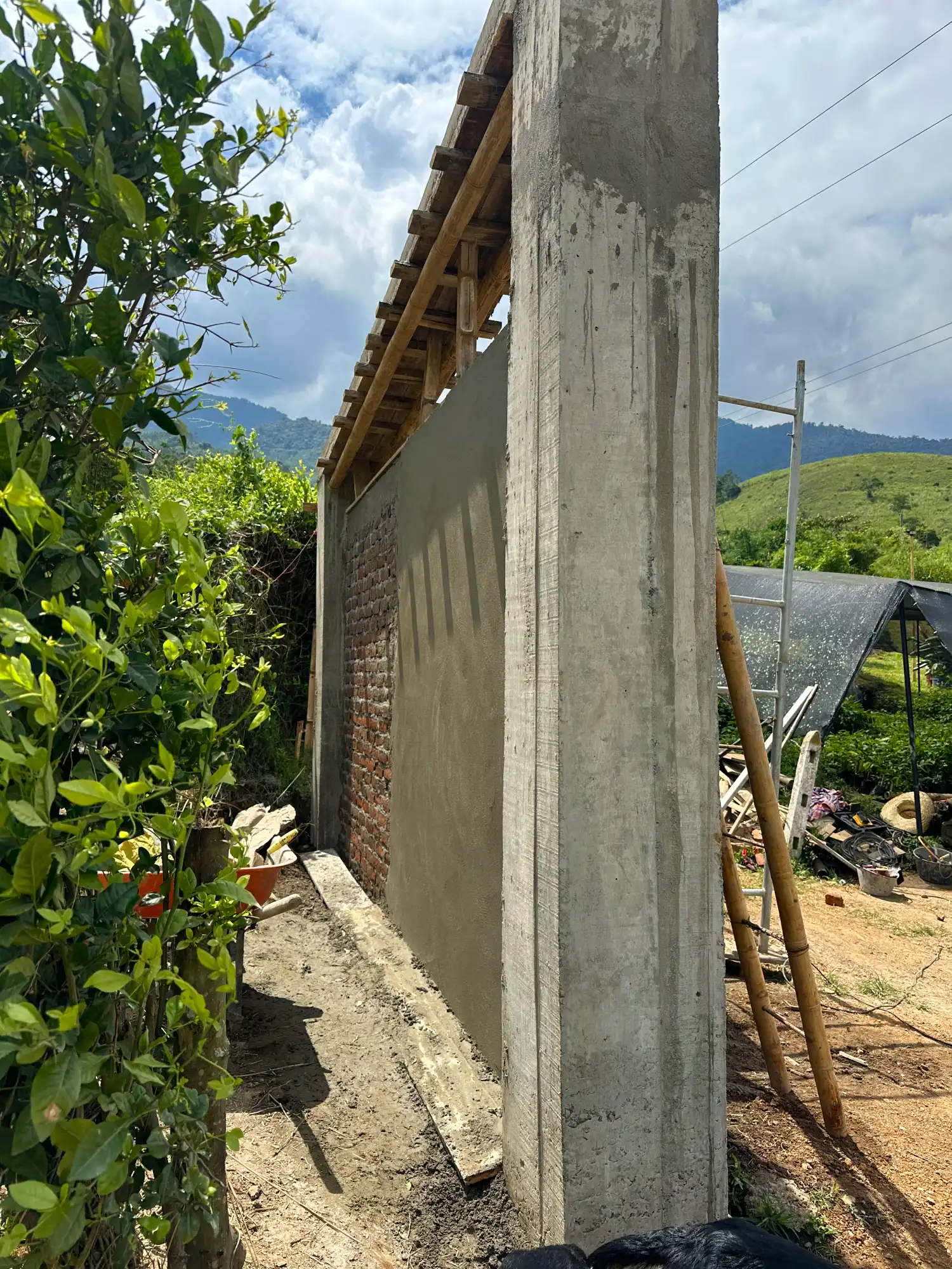 Portón de entrada de lujo en bambú guadua y acero en Colombia