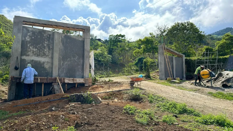 Portón de entrada de lujo en bambú guadua y acero en Colombia