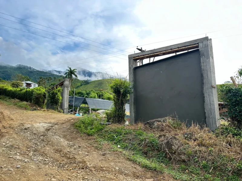 Portón de entrada de lujo en bambú guadua y acero en Colombia