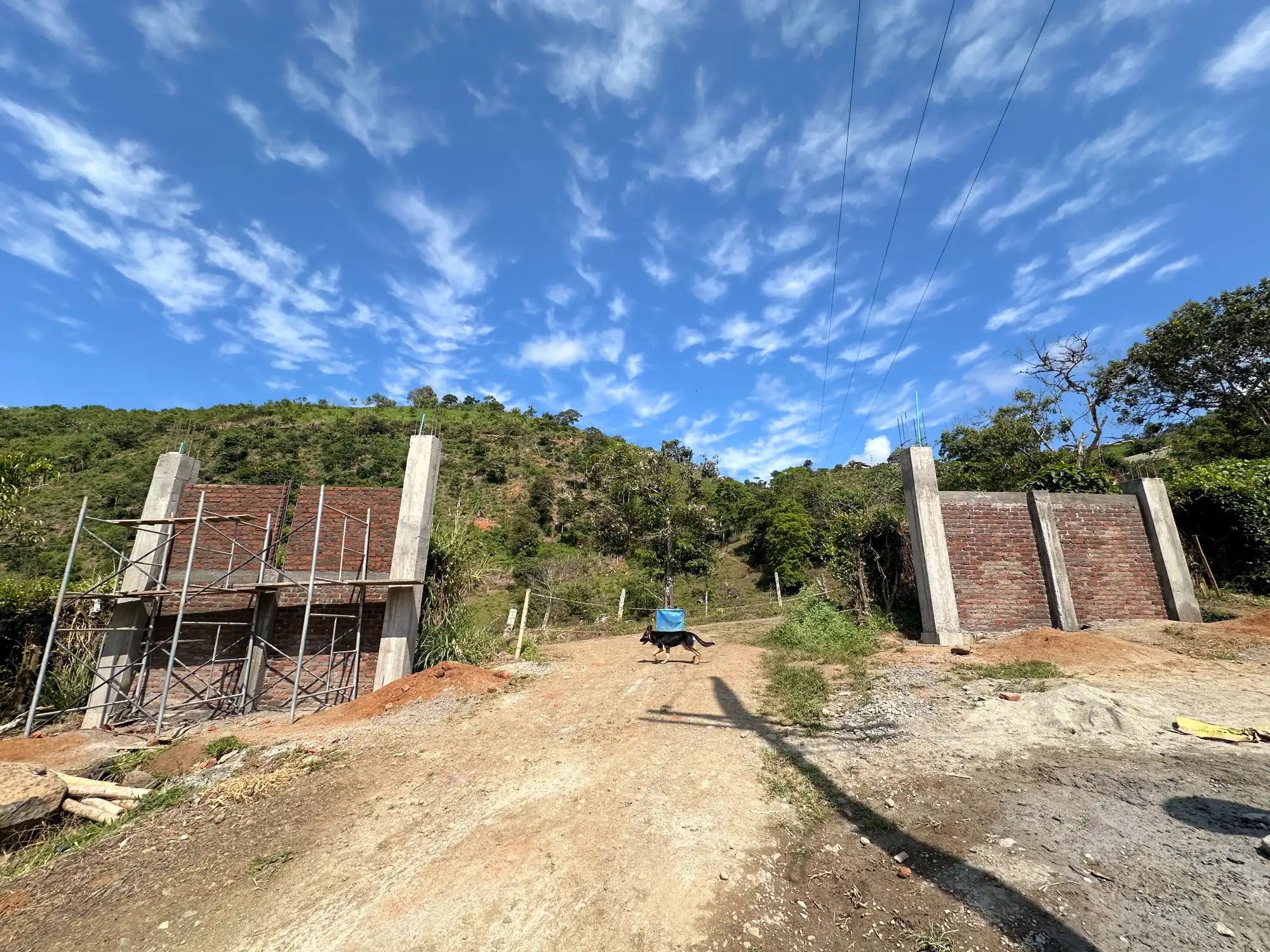 Portón de entrada de lujo en bambú guadua y acero en Colombia