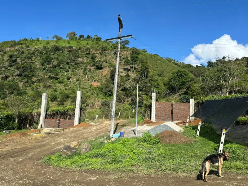 Portón de entrada de lujo en bambú guadua y acero en Colombia