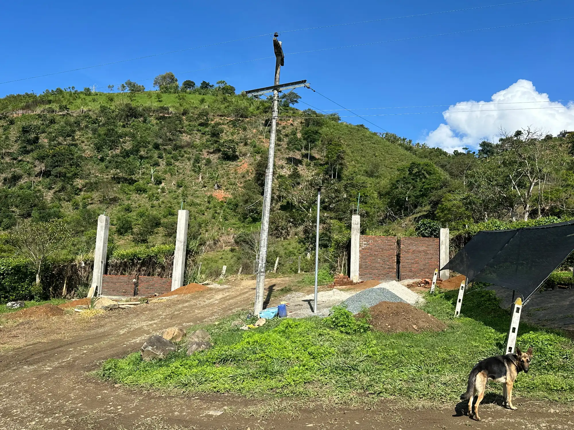 Portón de entrada de lujo en bambú guadua y acero en Colombia