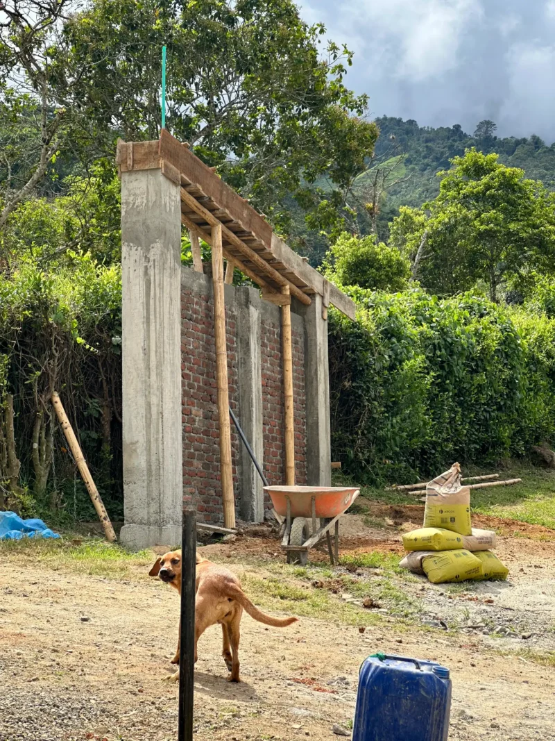Portón de entrada de lujo en bambú guadua y acero en Colombia