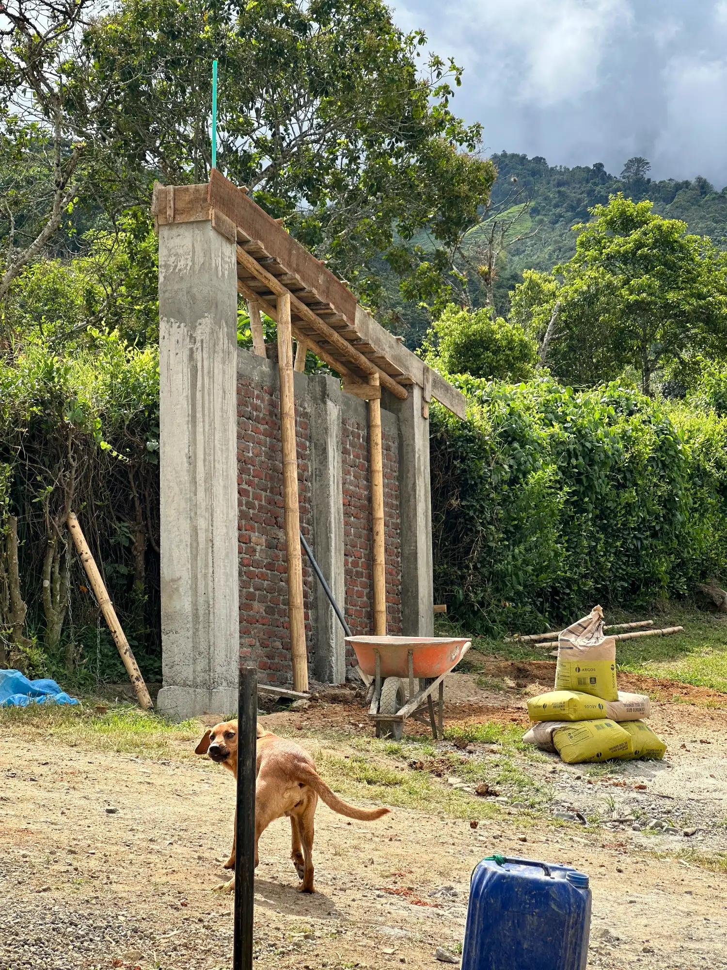 Portón de entrada de lujo en bambú guadua y acero en Colombia