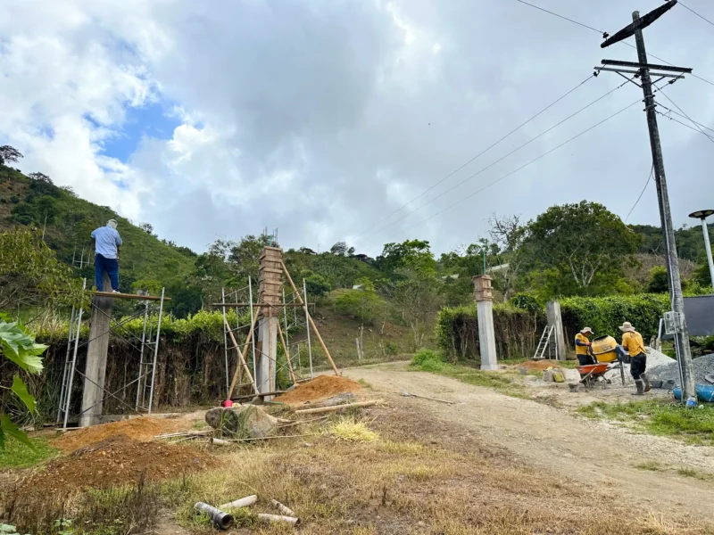 Portón de entrada de lujo en bambú guadua y acero en Colombia