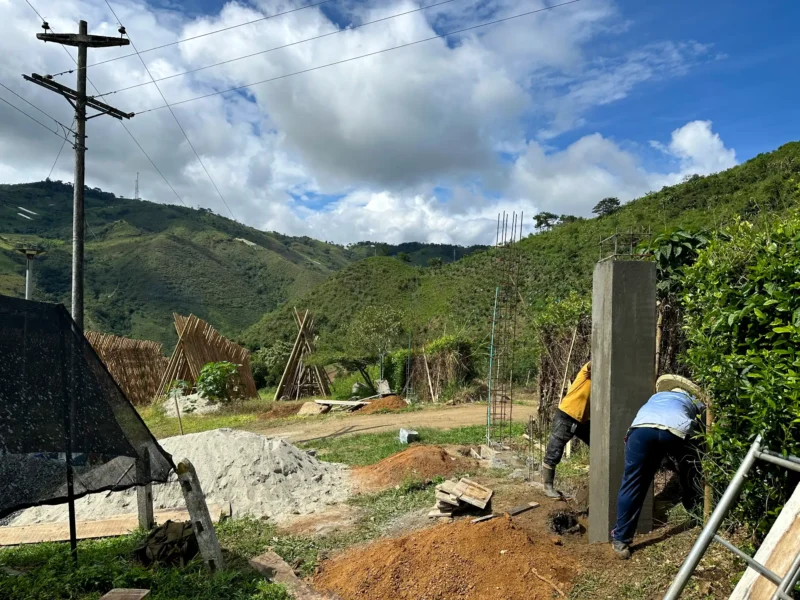 Portón de entrada de lujo en bambú guadua y acero en Colombia