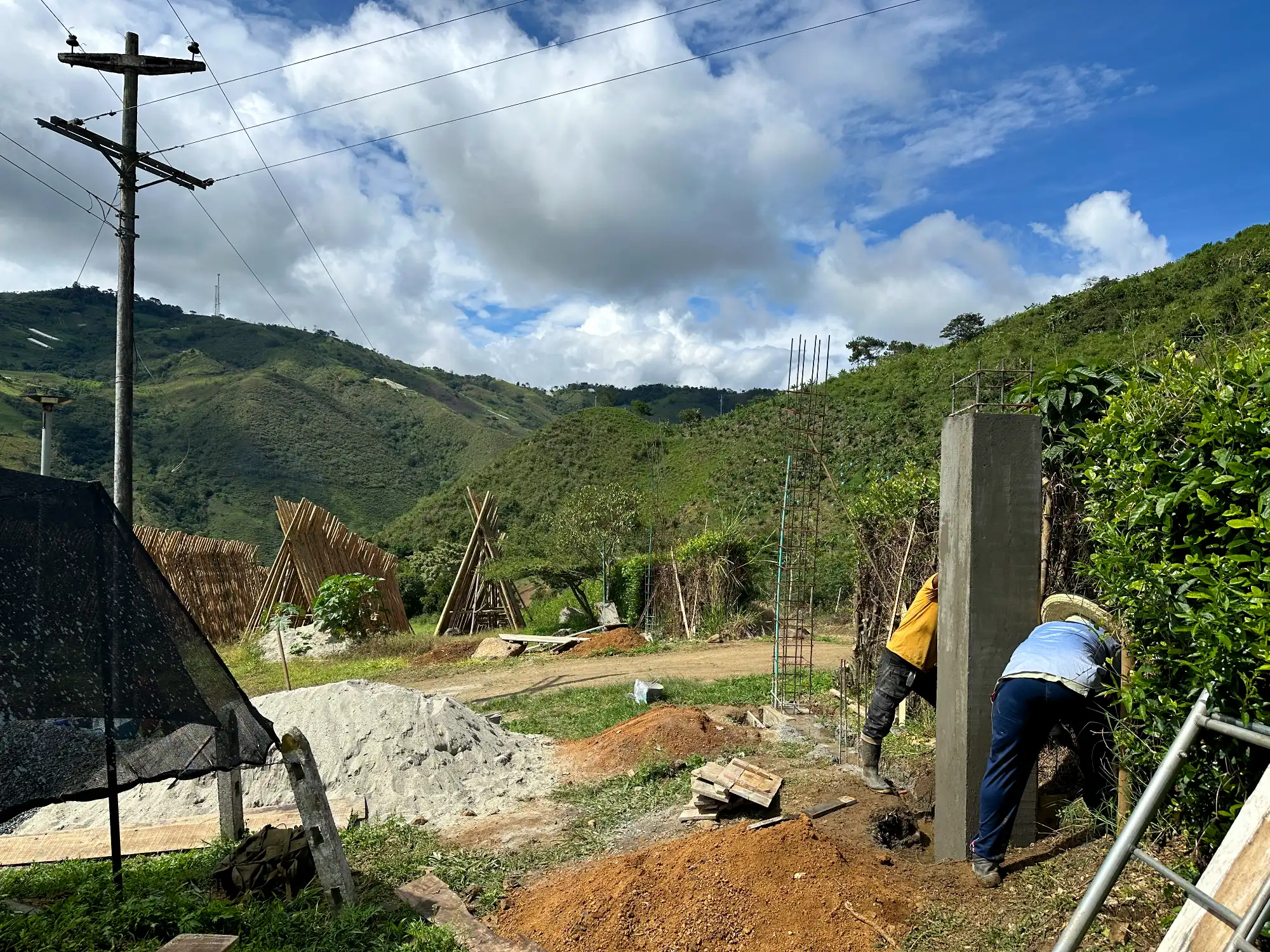 Portón de entrada de lujo en bambú guadua y acero en Colombia