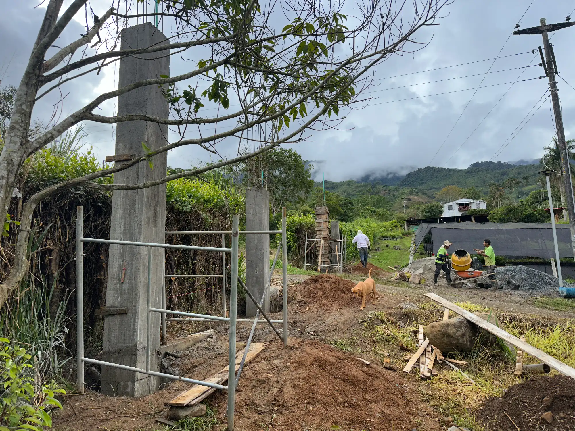 Portón de entrada de lujo en bambú guadua y acero en Colombia
