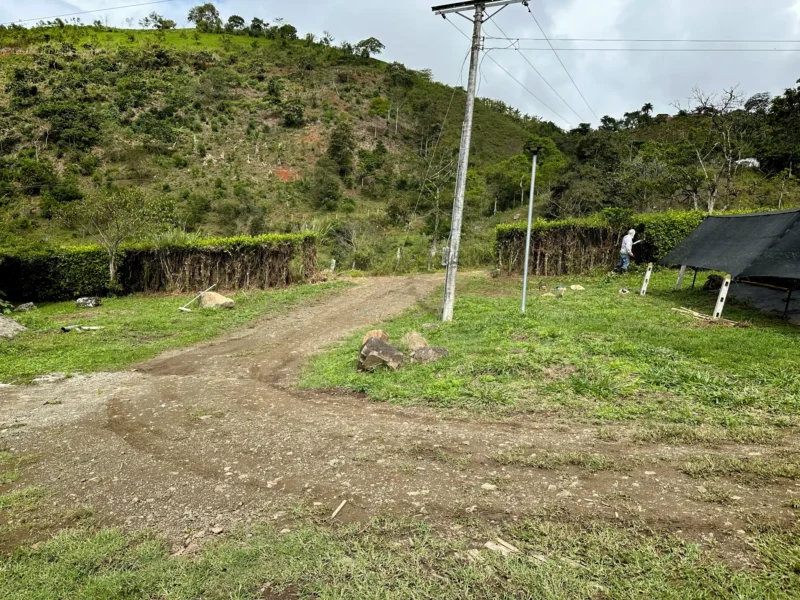 Portón de entrada de lujo en bambú guadua y acero en Colombia
