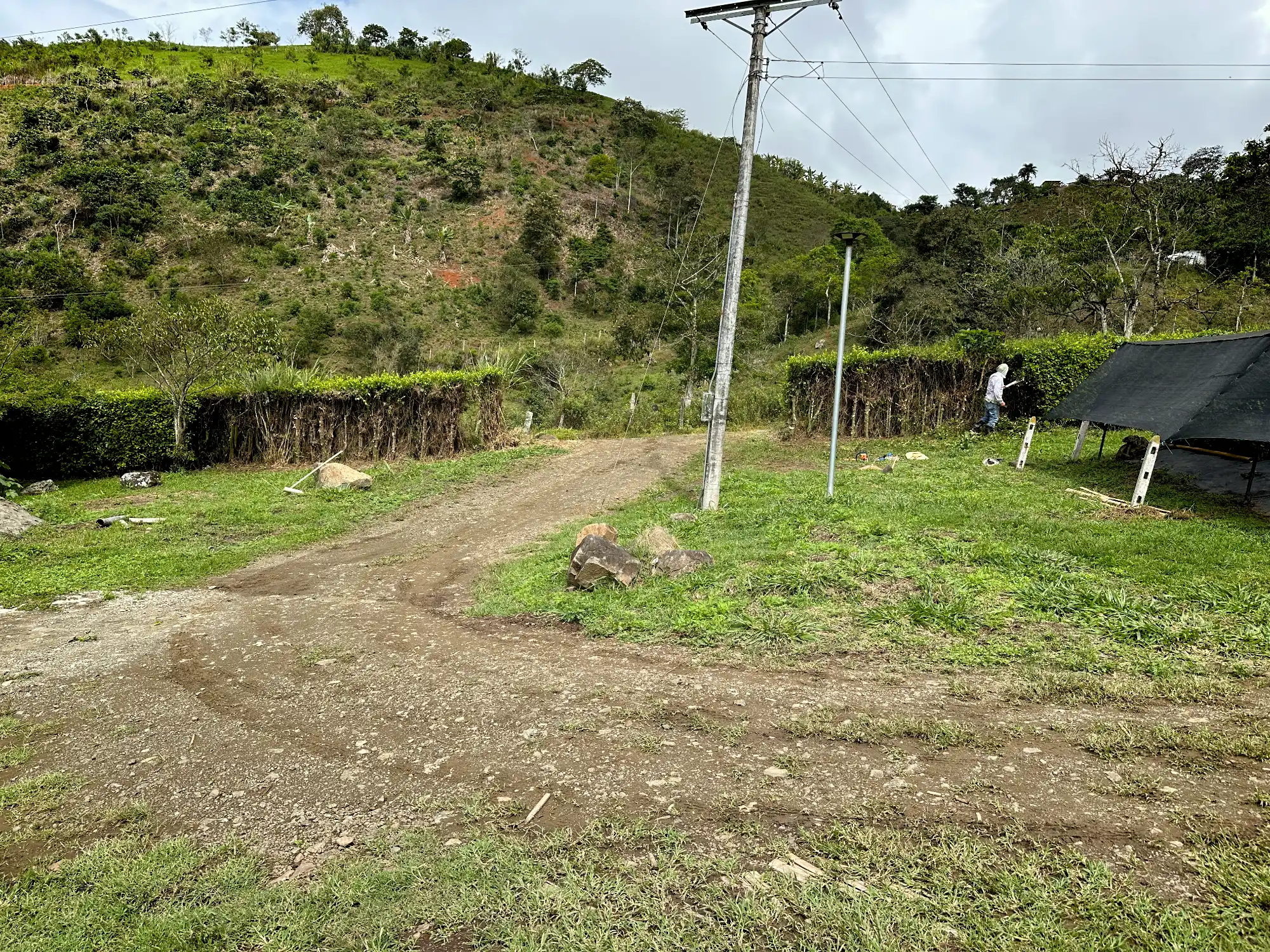 Portón de entrada de lujo en bambú guadua y acero en Colombia