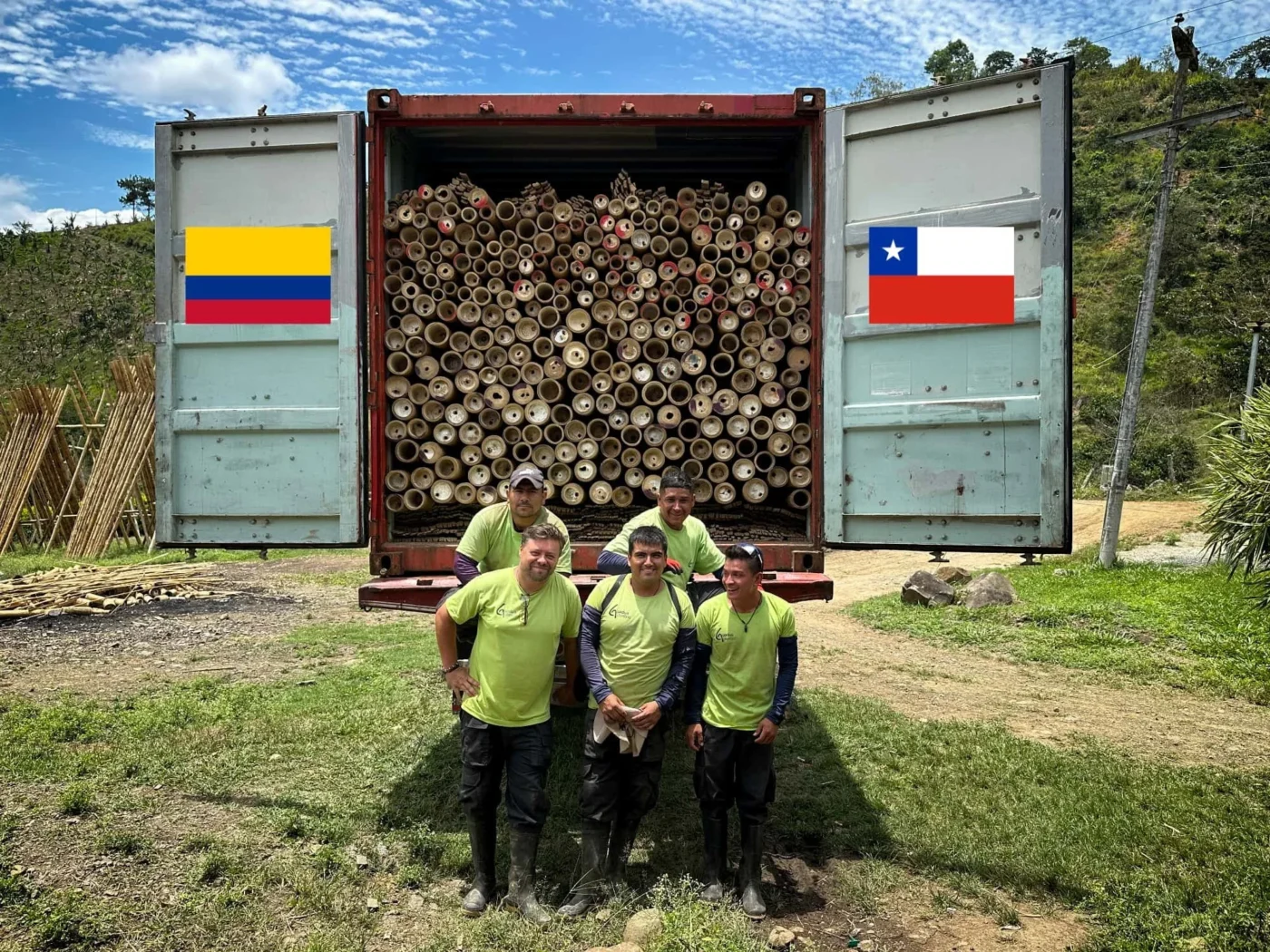 exportacion de bambu guadua a chile 3.jpg