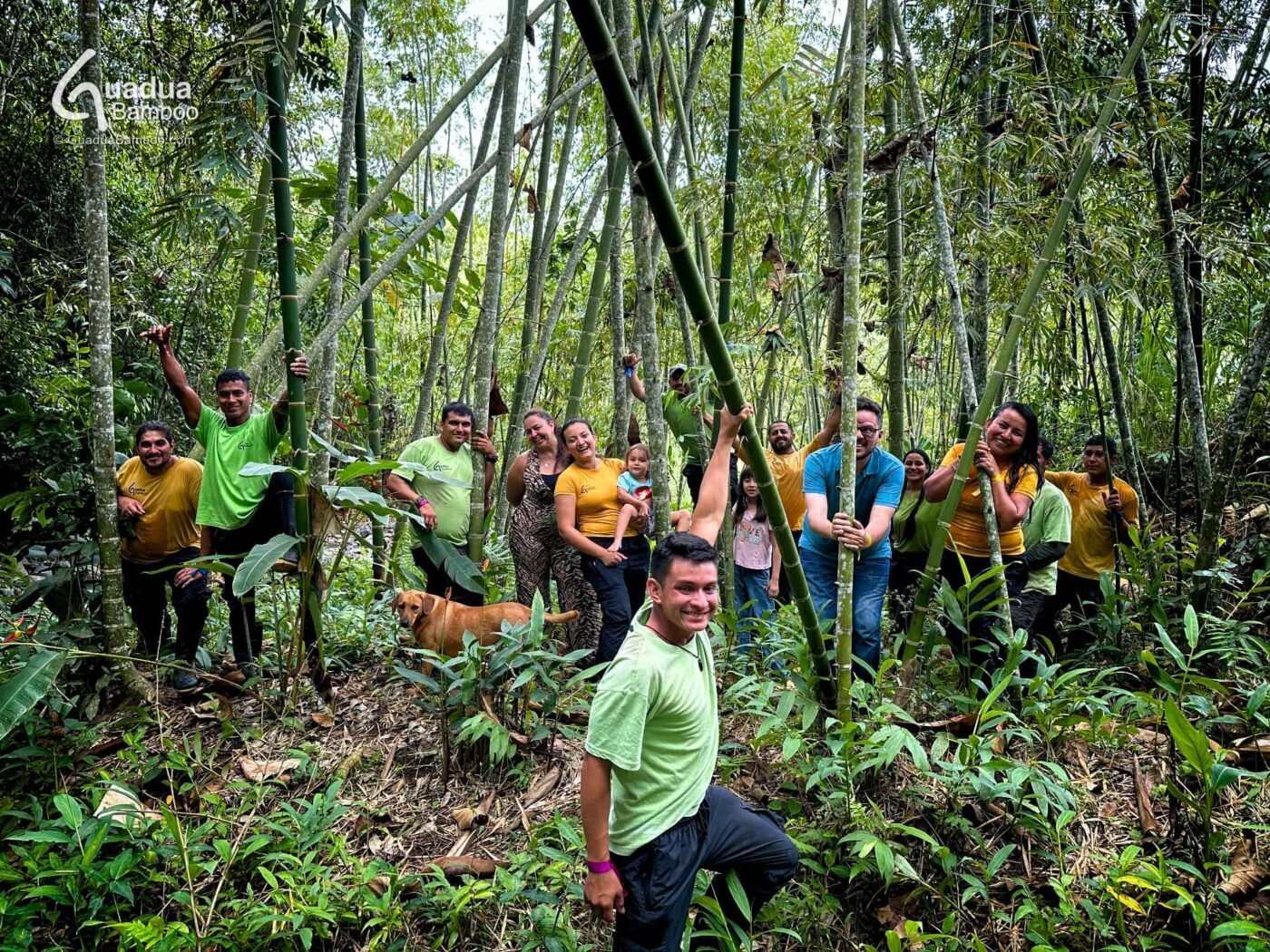 Equipo Guadua Bamboo en un Guadual
