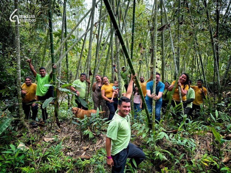 Equipo Guadua Bamboo en un Guadual
