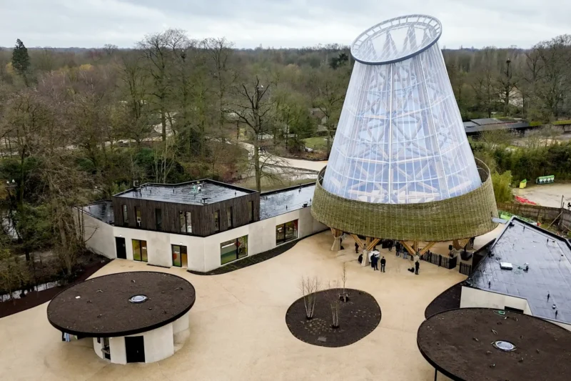 Vista general de la nueva entrada y torre de bambú de 28m en Zoo Planckendael Bélgica