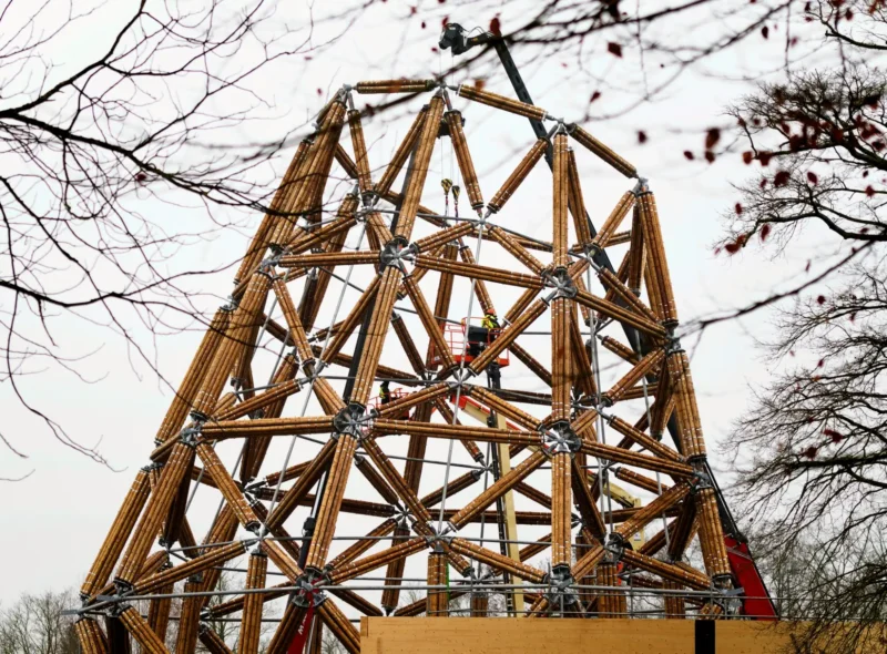 Construcción de la torre  en bambú guadua en Bélgica