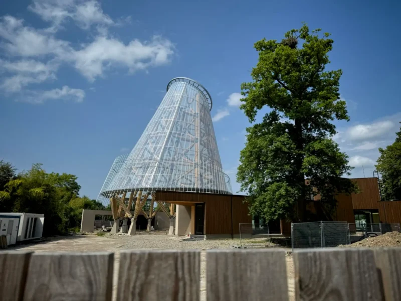 Torre en bambú guadua en Bélgica