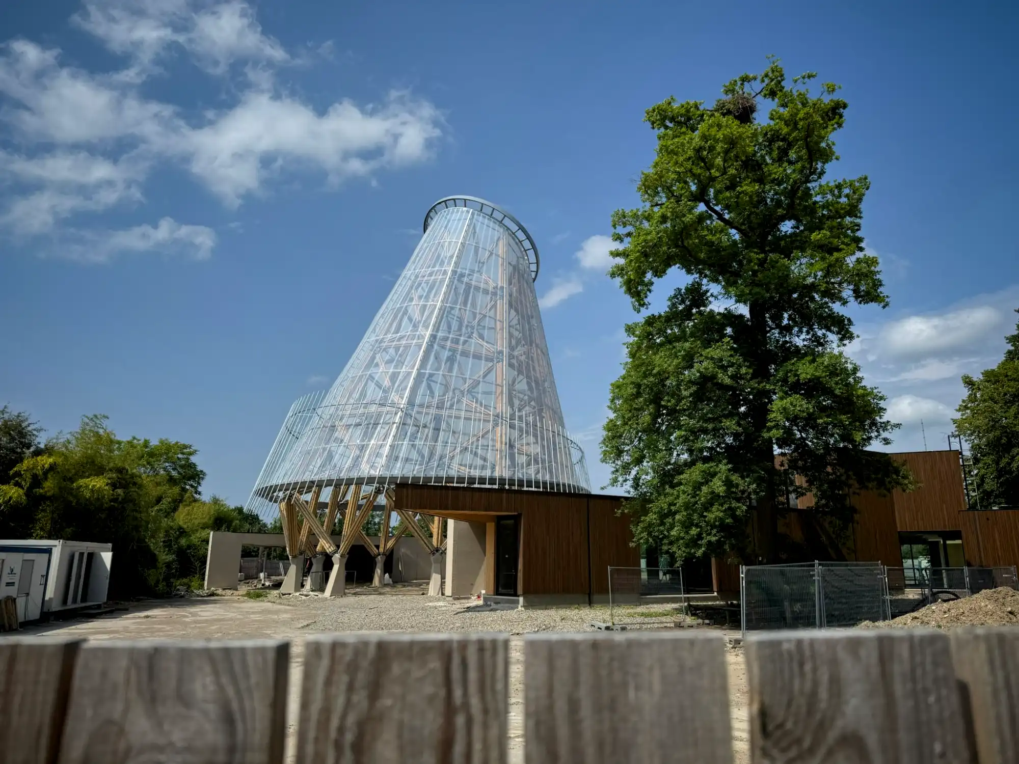 Torre en bambú guadua en Bélgica