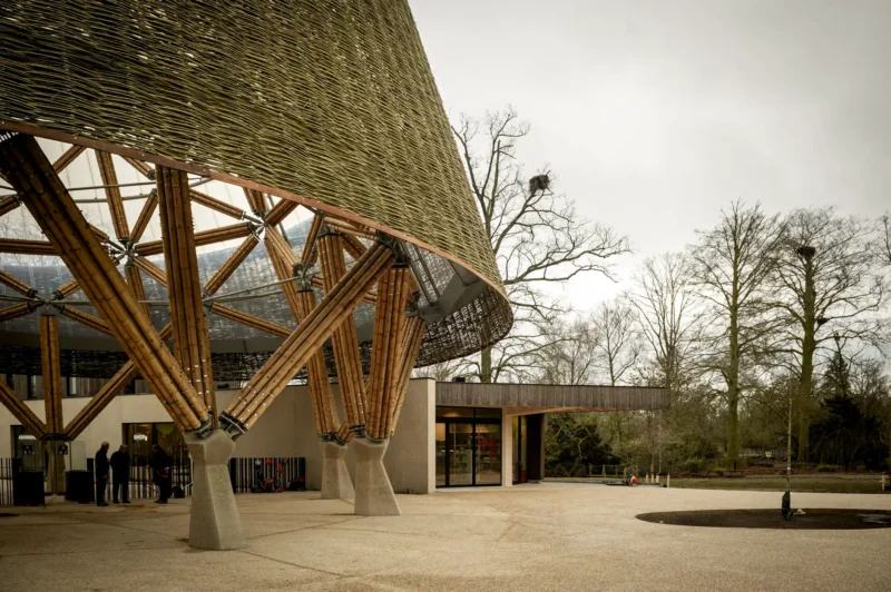 Vista general de la nueva entrada y torre de bambú de 28m en Zoo Planckendael Bélgica