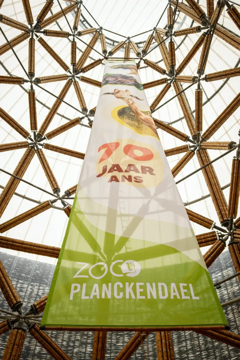 Inauguración oficial de la torre de bambú más alta de Europa en Bélgica