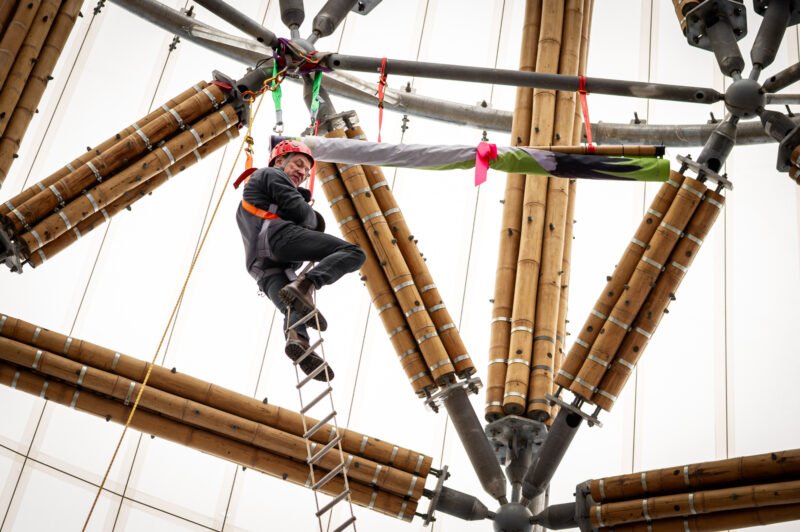 Inauguración oficial de la torre de bambú más alta de Europa en Bélgica
