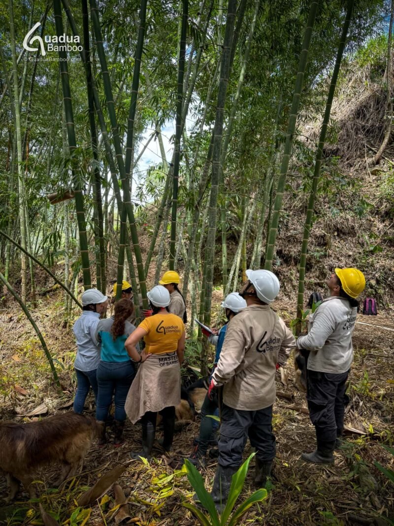 Mujeres de la comunidad se Gradúan como Técnicos en Operaciones Forestales