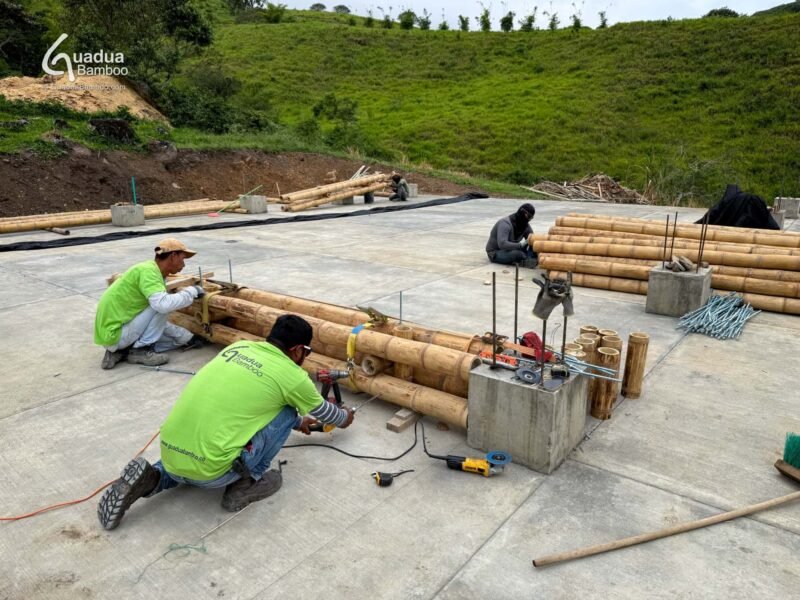 Rompiendo el Suelo para Nuestra Construcción en Bambú Más Grande Hasta Ahora