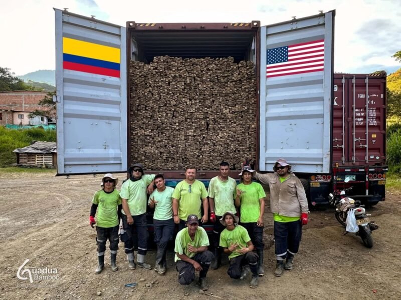 Latas de Guadua enviados a Estados Unidos para Laminación Industrial