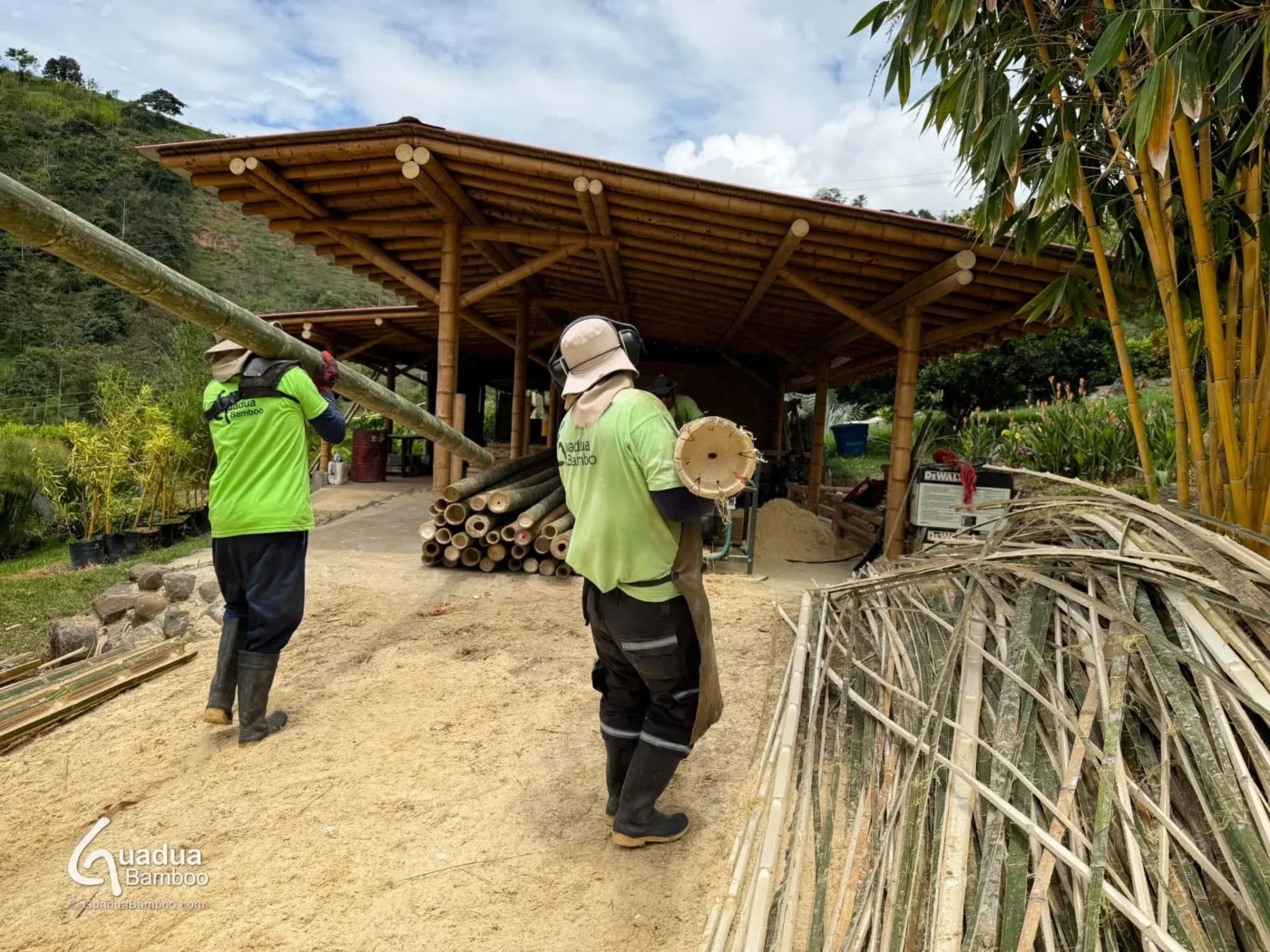 produccion de latas de bambu guadua en colombia 5