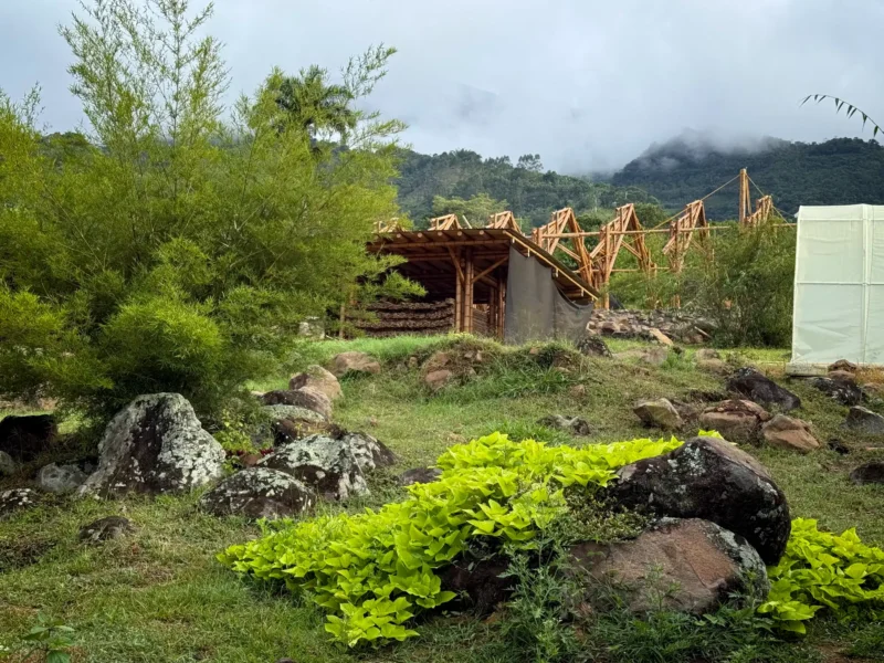 Vista de la estructura completa (esqueleto) del pabellón de guadua