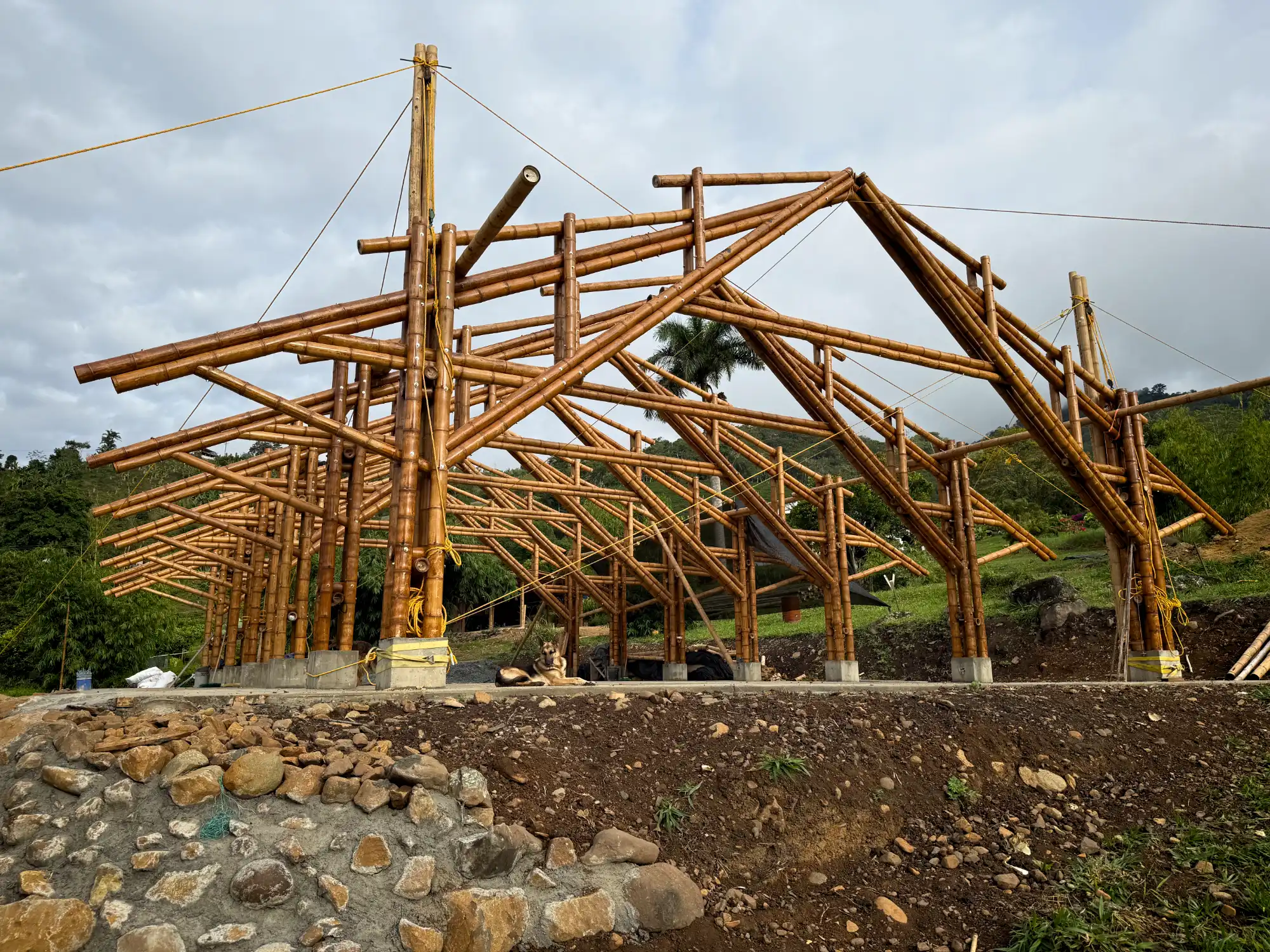 Vista de la estructura completa (esqueleto) del pabellón de guadua