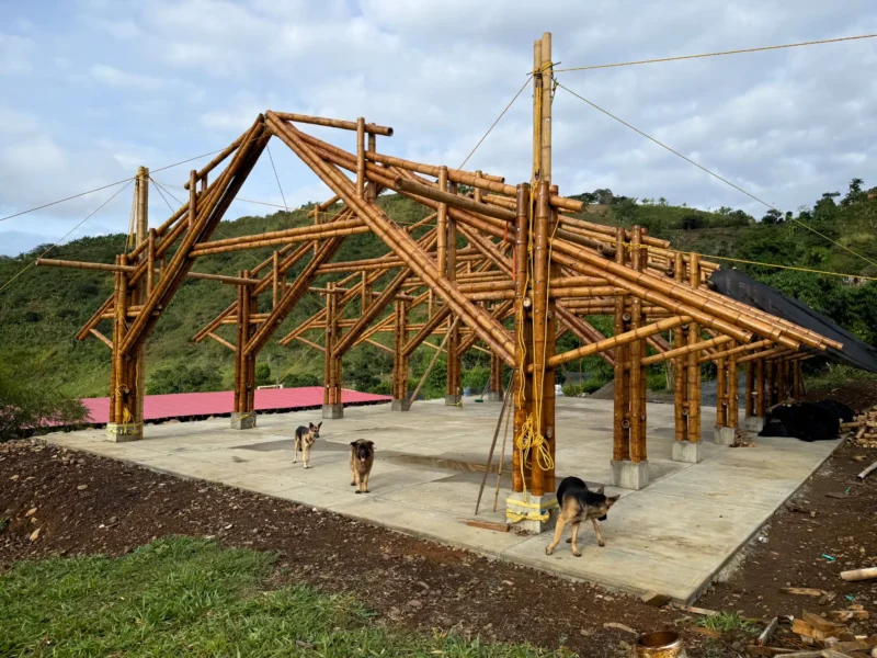 Vista de la estructura completa (esqueleto) del pabellón de guadua