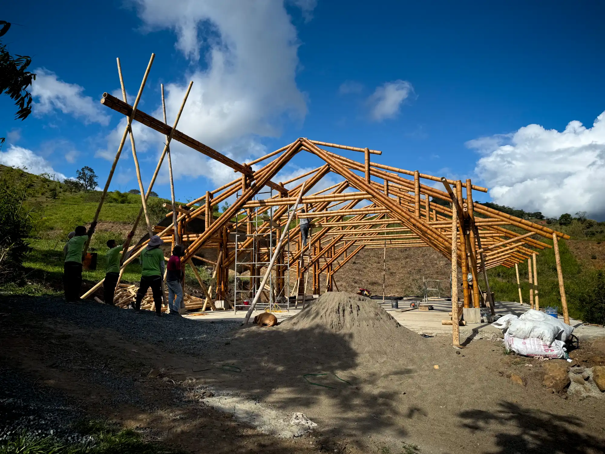 Instalación de vigas longitudinales de guadua