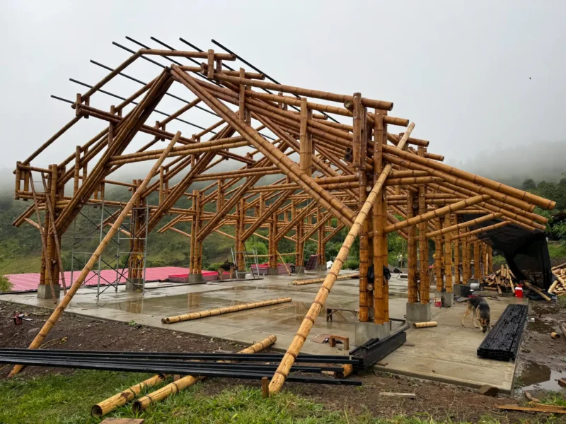 Vista de la estructura completa (esqueleto) del pabellón de guadua