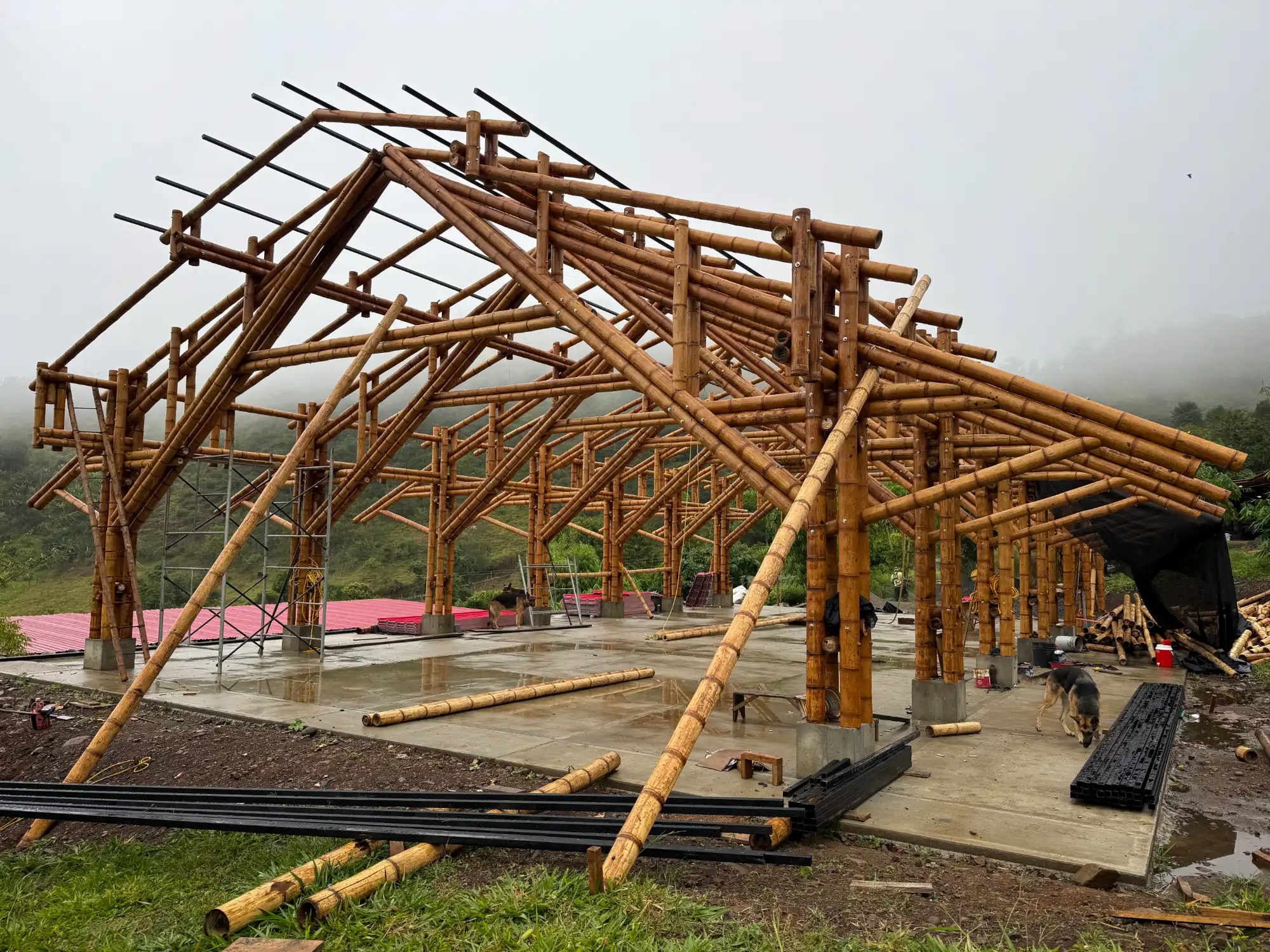 Vista de la estructura completa (esqueleto) del pabellón de guadua