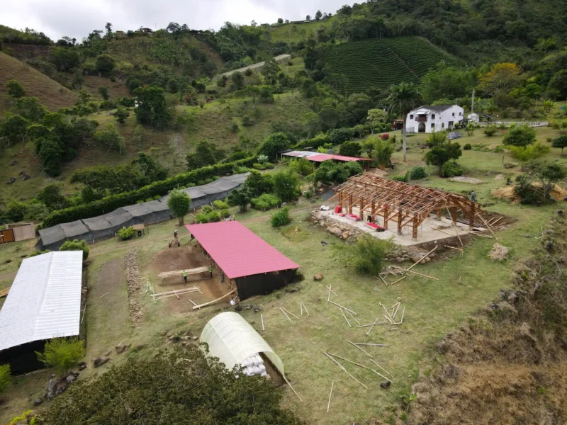 Vista aérea de la estructura completa (esqueleto) del pabellón de guadua