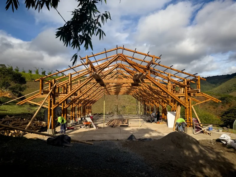 Vista de la estructura completa (esqueleto) del pabellón de guadua