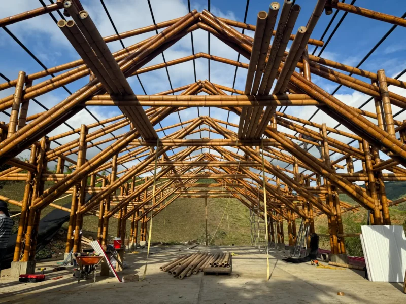 Vista de la estructura completa (esqueleto) del pabellón de guadua