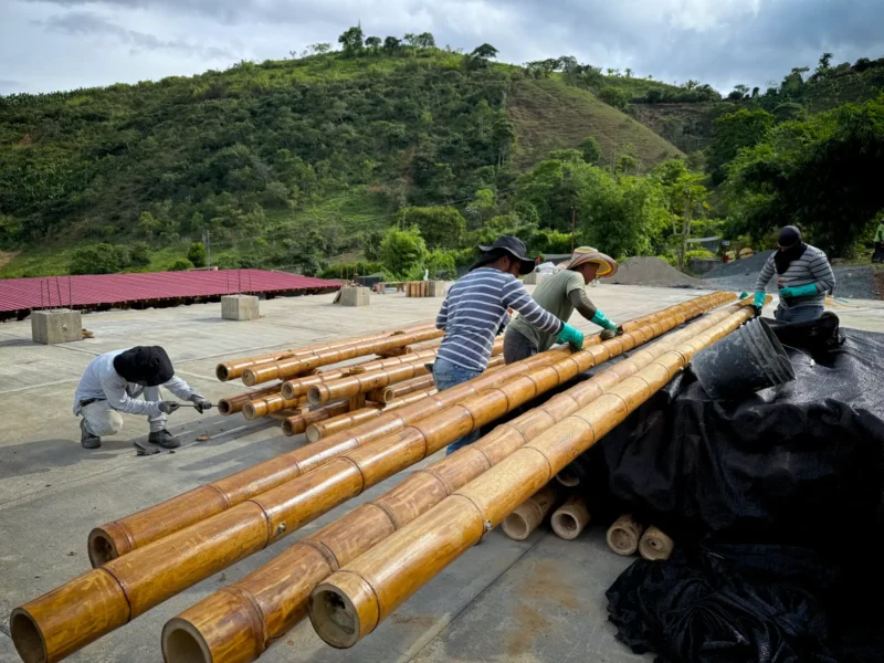 Aplicación de pintura protectora para guadua a la intemperie