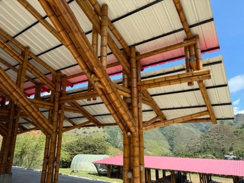 Vista interior de la estructura de guadua del pabellón "Tres Brisas" en el Valle del Cauca