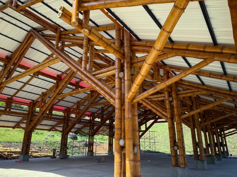 Vista interior de la estructura de guadua del pabellón "Tres Brisas" en el Valle del Cauca