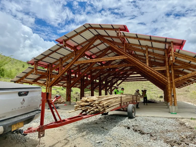 Transporte y almacenamiento organizado de latas de guadua seleccionadas dentro del pabellón Tres Brisas