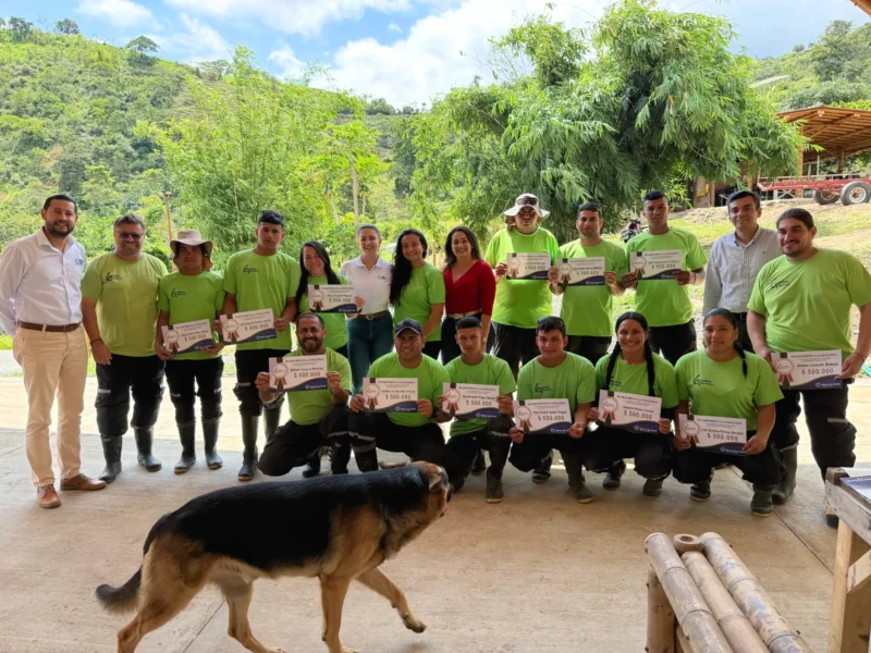Bono de $500.000 para equipo de Guadua Bamboo SAS