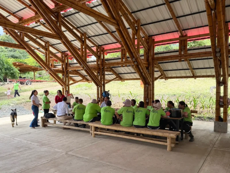 Bono de $500.000 para equipo de Guadua Bamboo SAS