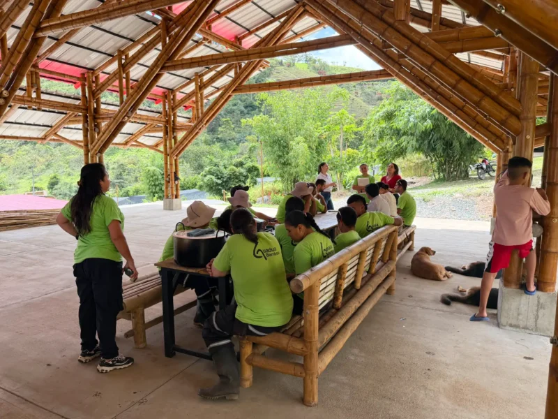 Bono de $500.000 para equipo de Guadua Bamboo SAS