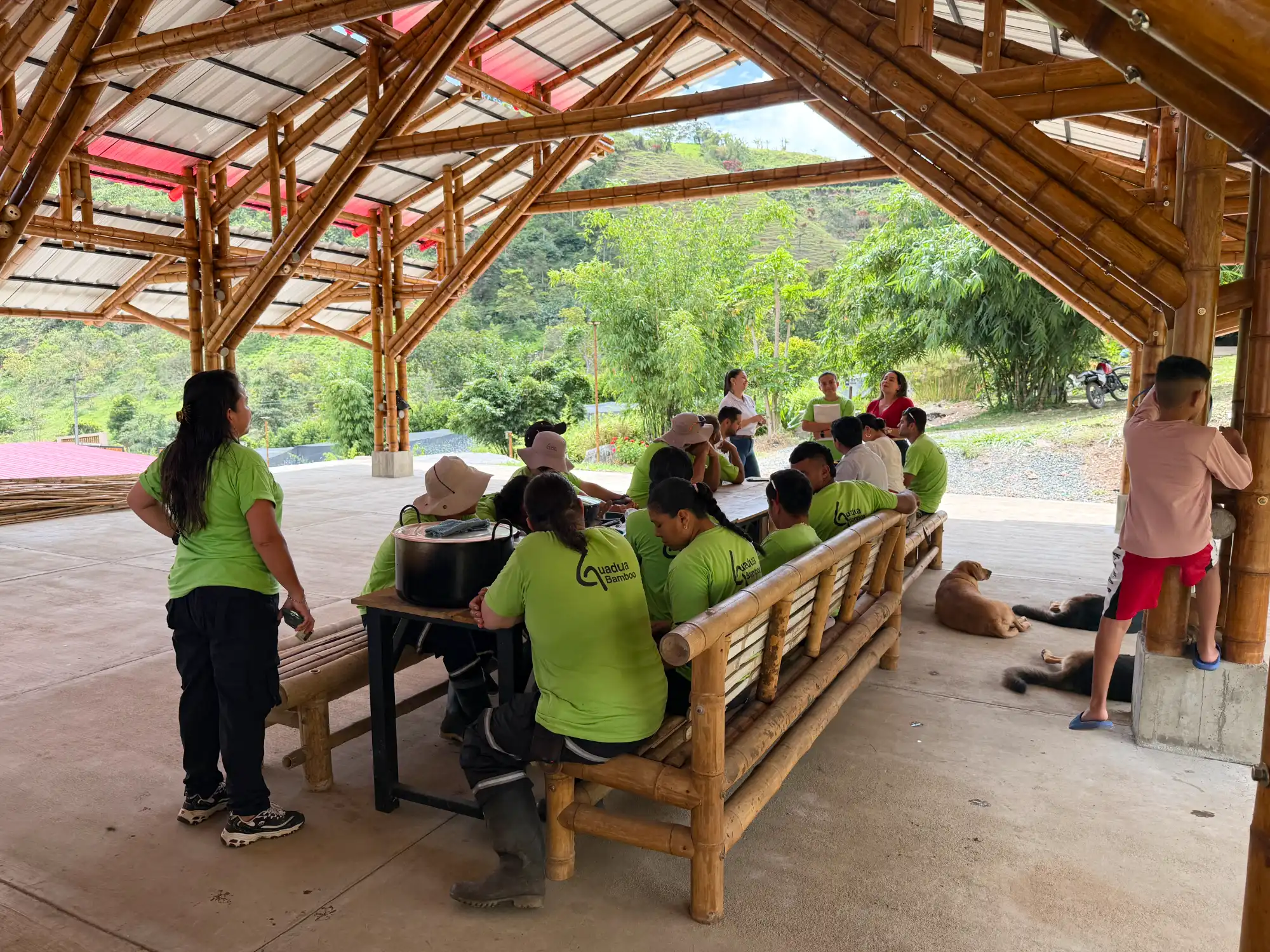 Bono de $500.000 para equipo de Guadua Bamboo SAS