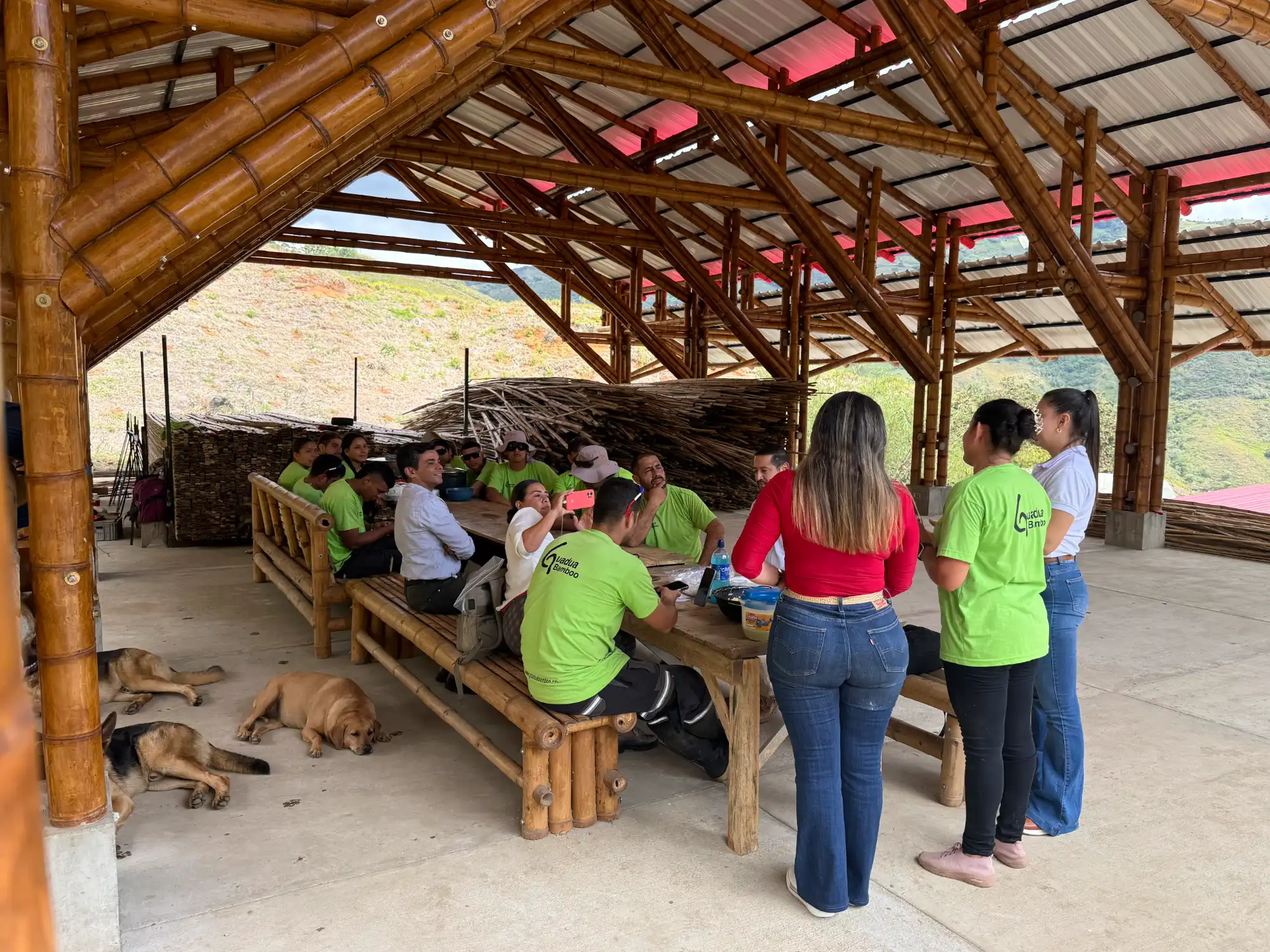 Bono de $500.000 para equipo de Guadua Bamboo SAS