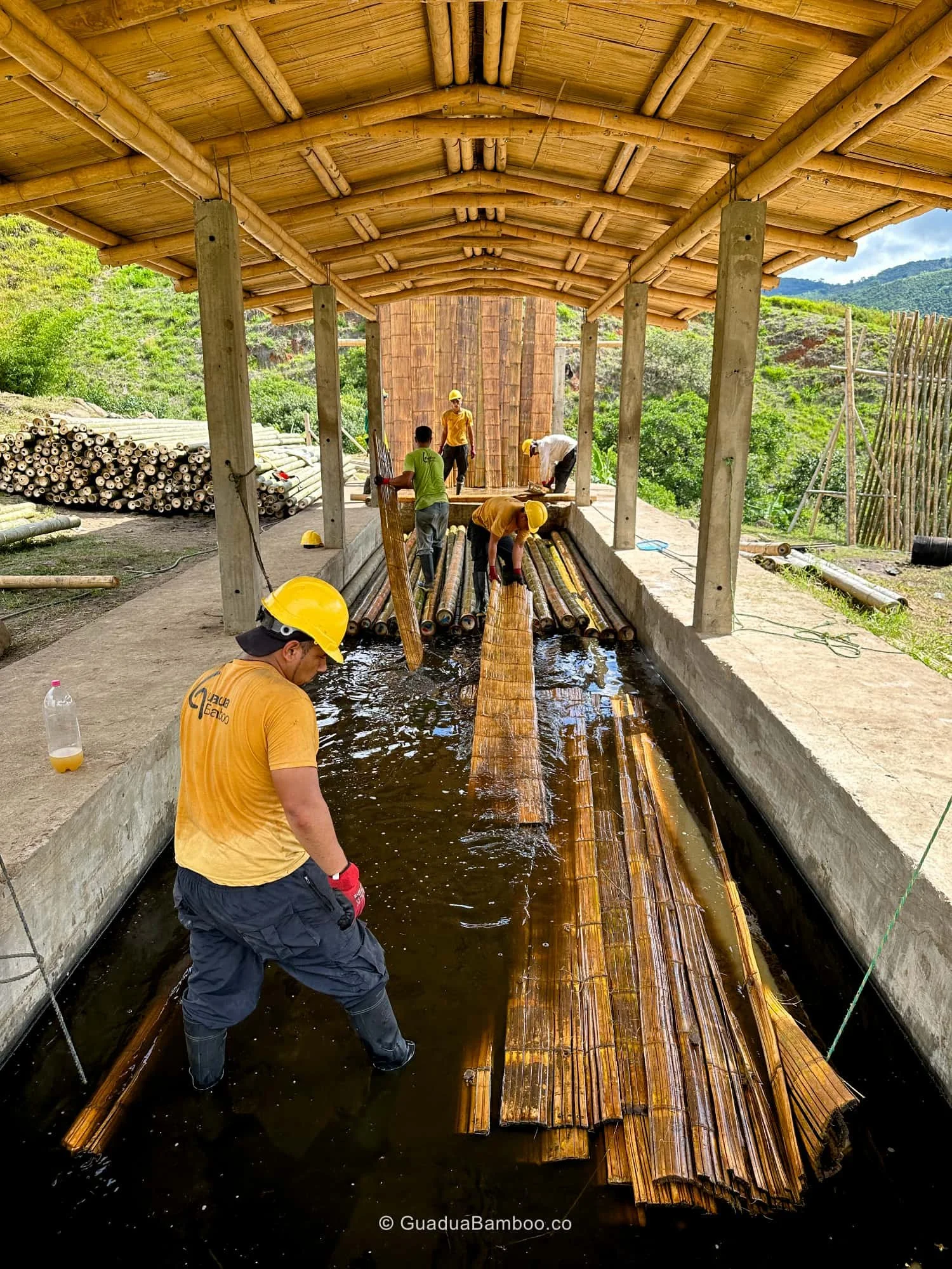Inmunización de Esterilla de Guadua Bambú