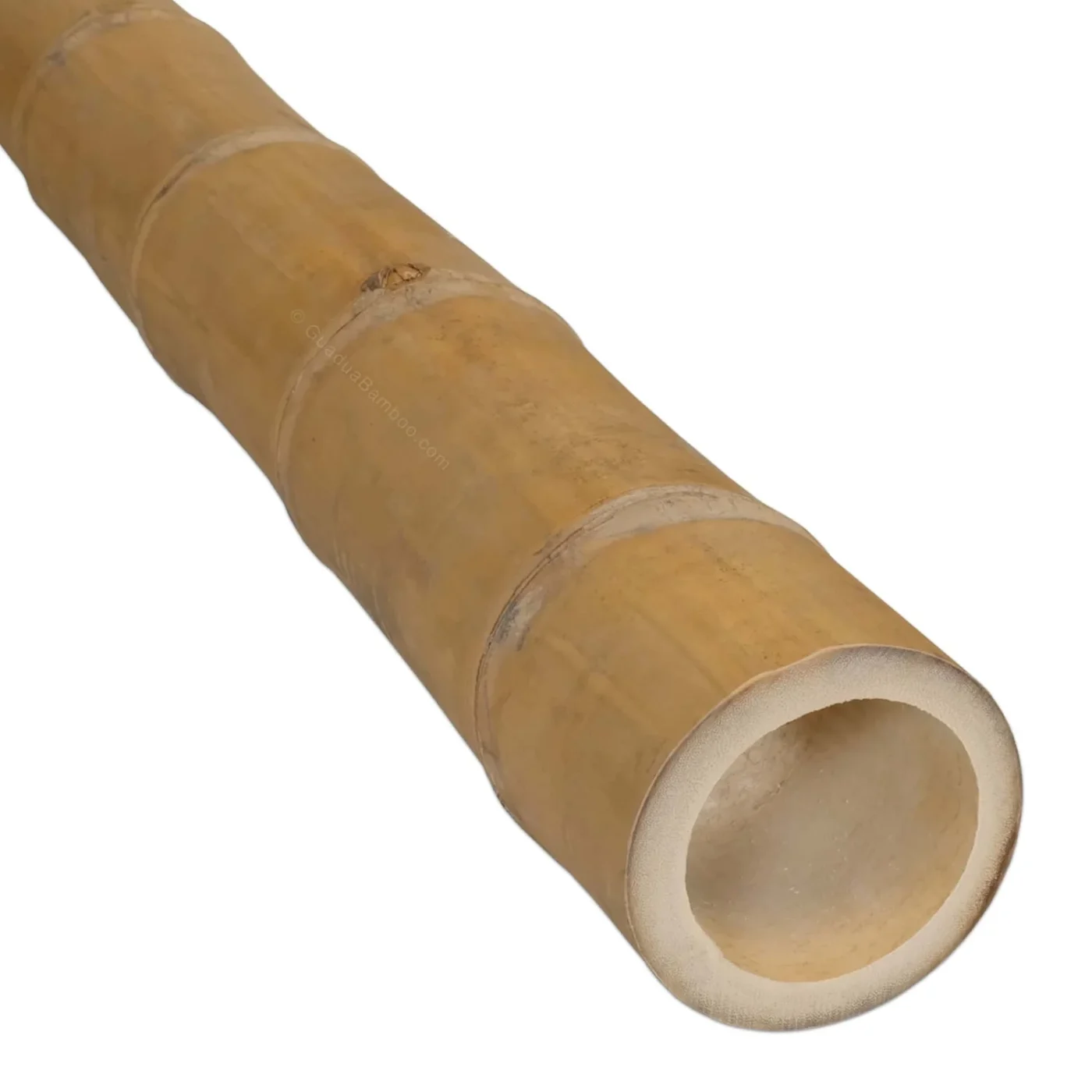 Guadua Rolliza Ø 9-11 cm